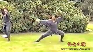 Doko no Kamae (Noguchi Sensei)