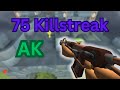 75 Killstreak With The Eggk-47 | Shell Shockers