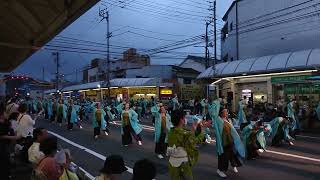 四万十町よさこい踊り子隊　四万夢多　高知よさこい祭り2023升形競演場1日目