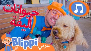 بليبي يعتني بالحيوانات | أغاني الأطفال | برنامج بليبي التعليمي *Cute Pets* 🎶 Blippi - بليبي بالعربي