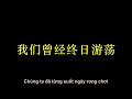 auld lang syne lưu tử linh【友谊地久天长 刘紫玲】