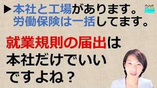 就業規則　本社と支店があり労働保険も一括しています。就業規則の届出は本社だけでもいいですか？【中小企業向け：わかりやすい就業規則】｜ニースル社労士事務所