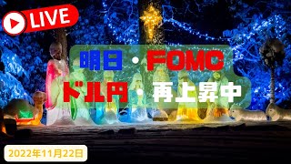 【FXライブ】明日はFOMC・24日は感謝祭・ホリデーシーズン始まる。どうなるドル円・ポンド円 「リットラトレード（トラリピ風）EA」＆「1万円ハイレバトレード （仮）」＋雑談　11/22/2022