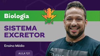 Sistema excretor​ - Biologia - Ensino Médio