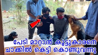 പേടി മാറ്റാൻ വന്ന കൂട്ടുകാരന്റെ ബോധം പോയി : subscriber With Fear Of Dogs Meet GSD, ROTT and LABRADOR