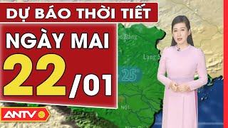 Dự báo thời tiết ngày mai 22/1: Hà Nội vẫn mưa nhỏ và rét, TP. HCM đêm không mưa | ANTV