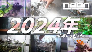 【2024振り返り】今年を振り返ろう！2024特別エンディングムービーもどうぞ！【 ne0n 】 #アクアリウム