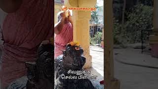 கைலாசநாதர் செல்லப்பிள்ளை பாட்டி ஆற்காடு ராணிப்பேட்டை