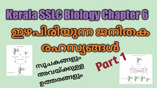 KERALA SSLC|BIOLOGY|CHAPTER 6|ഇഴപിരിയുന്ന ജനിതക  രഹസ്യങ്ങൾ| PART 1|മെൻഡലിൻറ്റെ പരീക്ഷണങ്ങൾ