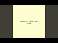 Fragments Fragile River