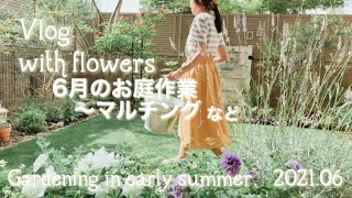 【ガーデニング】6月の庭作業/マルチング/初夏の花壇/マンション専用庭/ガーデニングvlog/初夏のおすすめの花/暮らしのvlog/ハナノカオリ