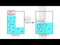 amateur lab equipment reverse osmosis deionization systems for purifying water