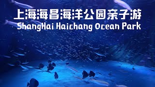 上海海昌海洋公园亲子游shanghai haichang ocean park