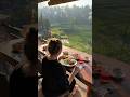 breakfast with rice fields view #shorts #bali #shortsyoutube #shortsvideo #indonesia