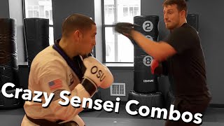 Sensei MITT WORK | Faze Sensei and Sensei Seth