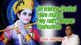 Sri krishna govind hare murari #devotionalvideo #devotionalsongs #devotional #Chaliye jee Ghume