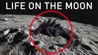 Artemis II Just Confirmed Life on the Moon — The Search Is Over