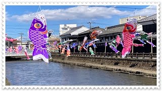 🎏こいのぼり🎏（蔵の街とちぎ・巴波川）