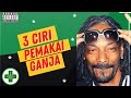 3 Ciri-ciri Pemakai Ganja