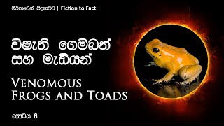 විෂති ගෙම්බන් සහ මැඩියන් | Venomous frogs and toads