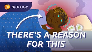 How Skin, Snot, and Cells Keep Us Healthy: Animal Defense Systems: Crash Course