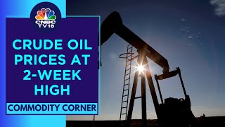 Crude Oil Prices At 2-Week High Following Red Sea Disruptions | CNBC TV18
