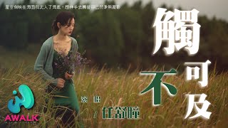 任舒瞳 - 触不可及『星空倒映在海面我沉入了海底，想伸手去触碰却已然渺无踪影。』【动态歌词 | Pinyin Lyrics】【一月新歌】【AWALK MUSIC】