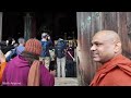 【4k60】 todaiji temple nara japan