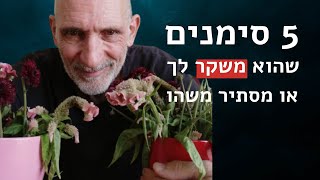 5 סימנים שהוא משקר לך (או מסתיר משהו)