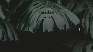 Needze - Coaja