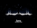 justin bieber 🌟 sorry 🌟 verso remade