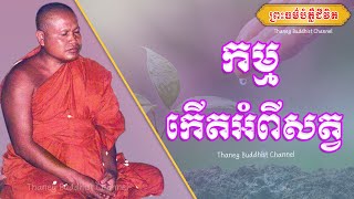 កម្មកើតអំពីសត្វ |ព្រះធម្មវិបស្សនា សំ ប៊ុនធឿន កេតុធម្មោ |Thaney Buddhist Channel