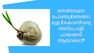 Coconut Seed Evening Snacks  തേങ്ങയുടെ പൊങ്ങു കൊണ്ട് നെയ്യപ്പം പോലെ ഉണ്ടാക്കിയത്