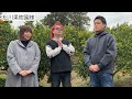 【不知火】松川果樹園 熊本県宇城市不知火町 vo 1