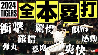 【2024年保存版！】ホームゲームのホームランを約30分に渡りまるっとお見せします！阪神タイガース密着！応援番組「虎バン」ABCテレビ公式チャンネル