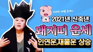 [샤먼tv]2021년 신축년 돼지띠운세! 내실을 튼튼히! 일복 인연복 팡팡 터지는 한해 입니다