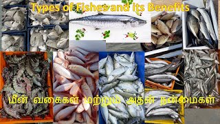 Types of fishes and its health benefits |  மீன் வகைகள் மற்றும் அதன் நன்மைகள்