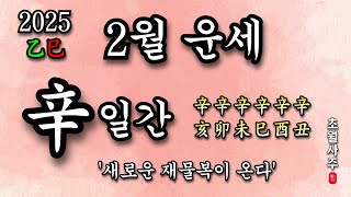 [2월운세] 辛 일간 '새로운 재물복이 온다!'