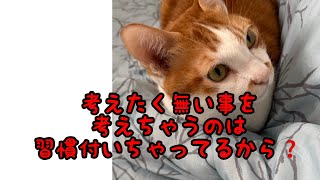 LIVE❗️①貴方の考えている事は本当に貴方が考えたい事ですか🤨❓自動思考キャッチ