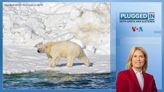 Climate Change: Can We Save the Planet? | Plugged In with Greta Van Susteren