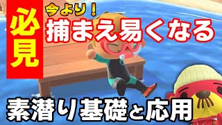 【あつ森】完全版：素潜りは早く泳ぐだけじゃダメ！このコツを掴めば、効率よく海の幸がGETできます！【あつまれ どうぶつの森】【ぽんすけ】