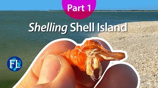 Take us to Shell Island! Ten Thousand Islands Shelling