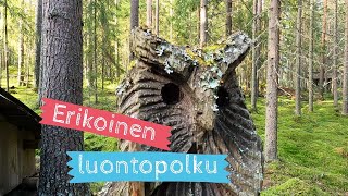 Löysinkö metsästä Mörri-Möykyn kotikylän?