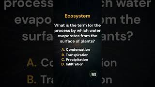 What is the term for the process by which water evaporates from the surface of plants? | Ecosystem