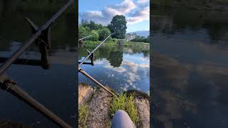 Evening At Topcliffe On The Swale #fishing #river #yorkshire #barbelfishing #chubfishing