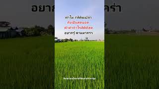 การลงทุน ที่ดินเปล่า สุดยอดในการทำกำไรที่ดีที่สุด #ที่ดินเปล่า #ที่ดินแปลงเล็ก #ที่ดินแบ่งขาย