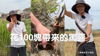 今天花100塊拿下兩個小藕坑，看看能不能回本？結果讓人驚喜#viralvideo#捕魚