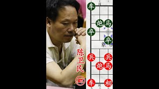 曹岩磊胖揍湖南名将！赤兔咬象，杀手锏叫杀！ #举棋胜天半子 #中国象棋 #许银川 #下棋 #人生如棋