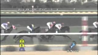 2012年第19回チューリップ賞（G3）　ハナズゴール