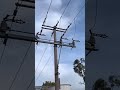 33kv transmission lines live switch gears electricalengineer electricalwork autocad electricaljobs